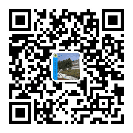 芦淞区五里墩中学公众号二维码