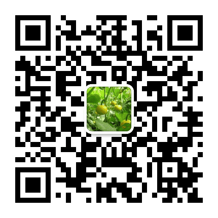 栾城农牧局公众号二维码