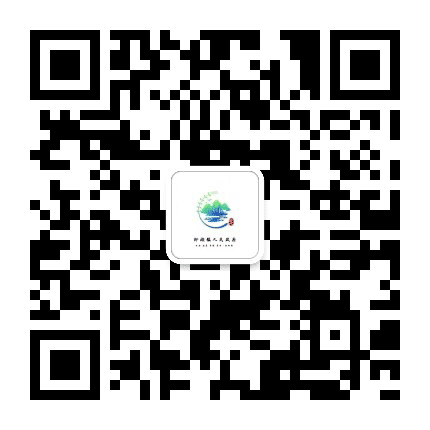 绿色柳湖公众号二维码