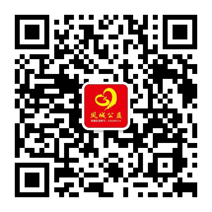凤城公益公众号二维码
