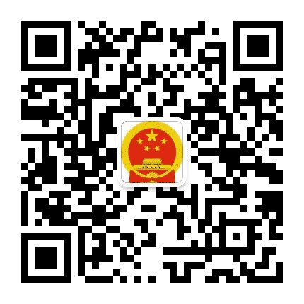 龙文区政府网公众号二维码