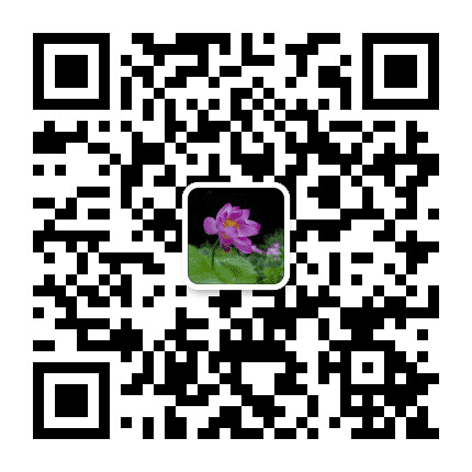 兰西电大公众号二维码