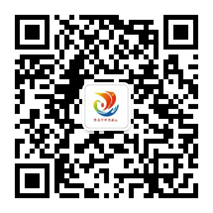 陇南礼县王坝乡人民政府公众号二维码
