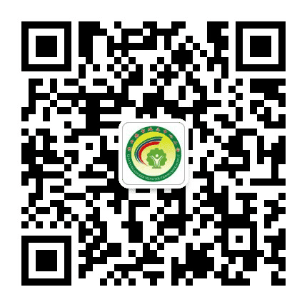 连云港市城头中心小学公众号二维码