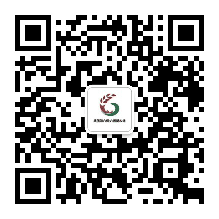 印象六运湖公众号二维码