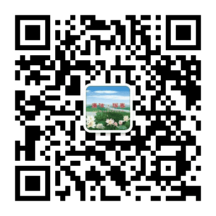 廉政珲春公众号二维码