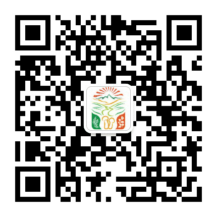 林芝松茸美食节公众号二维码