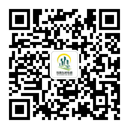 兰州市城关区铁路东村街道办事处公众号二维码