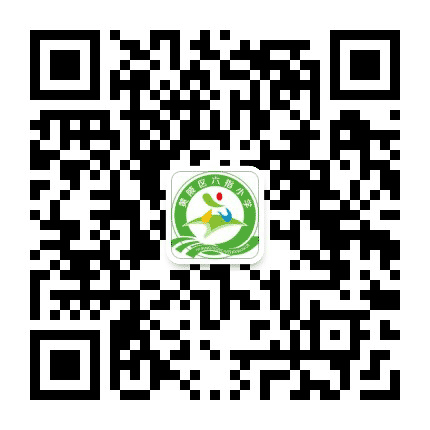 六指小学123公众号二维码