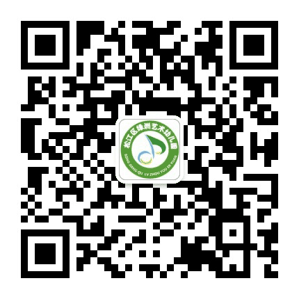 松江区绿洲艺术幼儿园公众号二维码