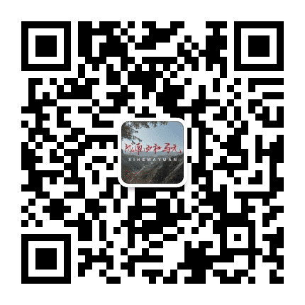 陇南西和马元公众号二维码