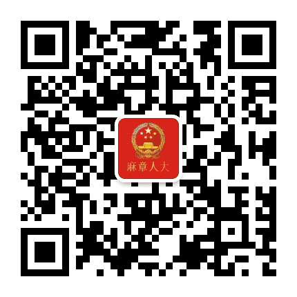 麻章人大公众号二维码