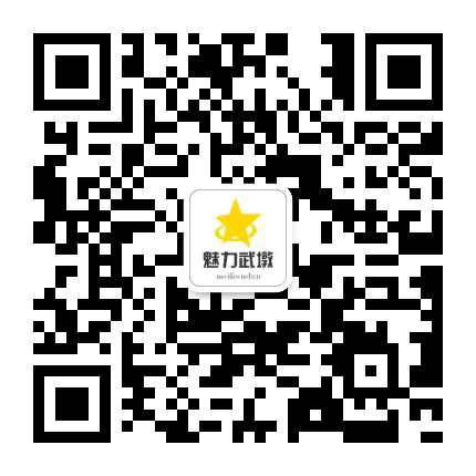 魅力武墩公众号二维码