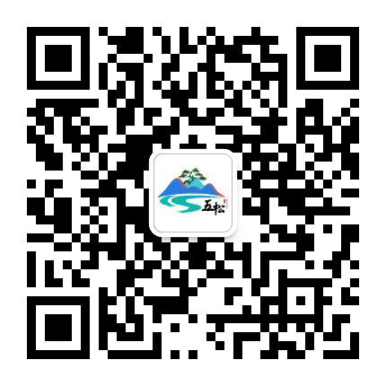 魅力五松公众号二维码