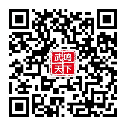武鸣人天下公众号二维码