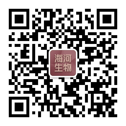 海河标测公众号二维码