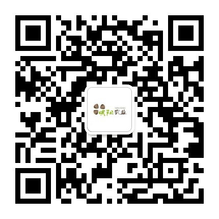明阳农业公众号二维码