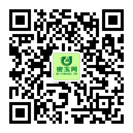 密玉网公众号二维码