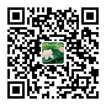 毛集公众公众号二维码