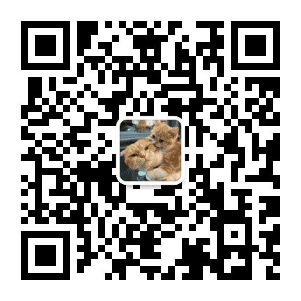 猫咪爱上喵星人公众号二维码