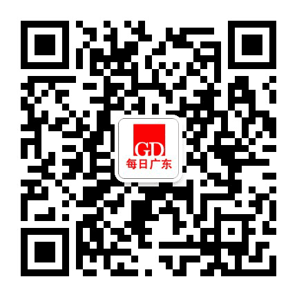 每日广东公众号二维码