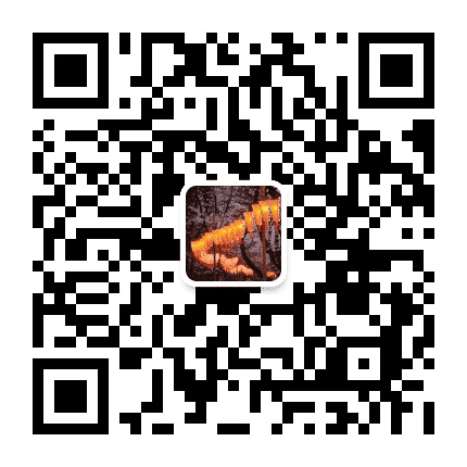 金东花海公众号二维码