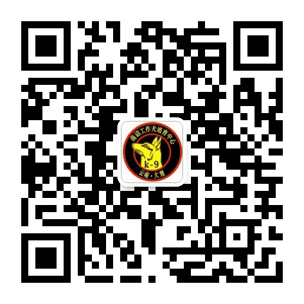 南诏工作犬公众号二维码