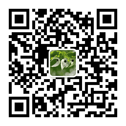 纳雍教育公众号二维码