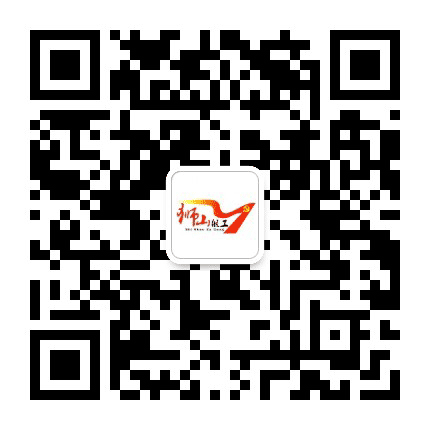 狮山组工公众号二维码