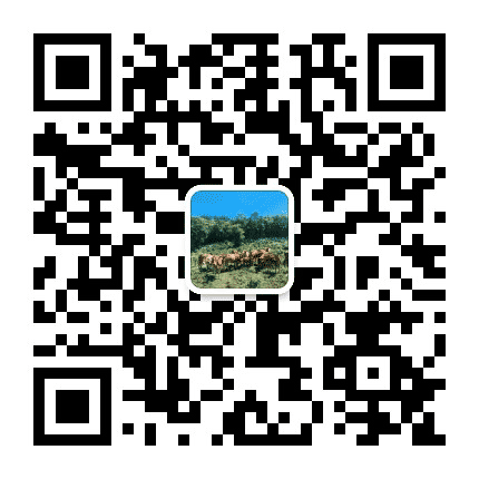 宁洱镇微平台公众号二维码