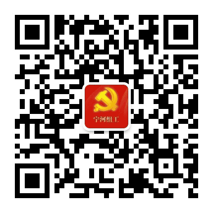 宁河组工公众号二维码