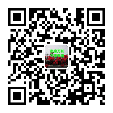 桥梁绿化公众号二维码