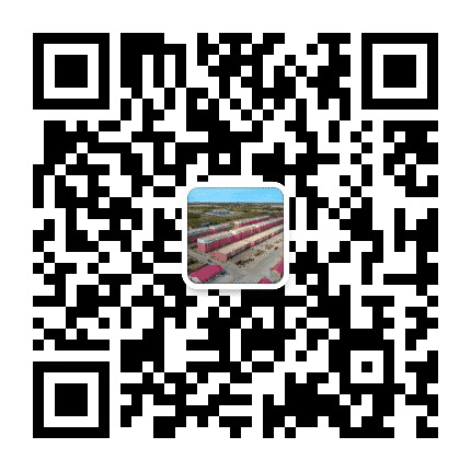 兴安农垦呼和马场公众号二维码
