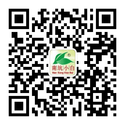 南坑小白茶公众号二维码