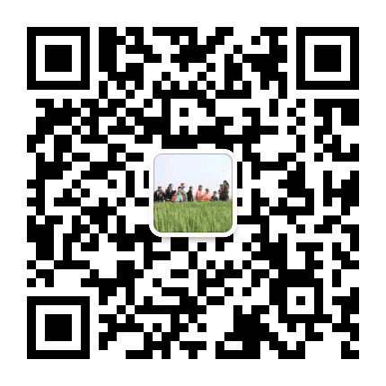 南塘民府公众号二维码