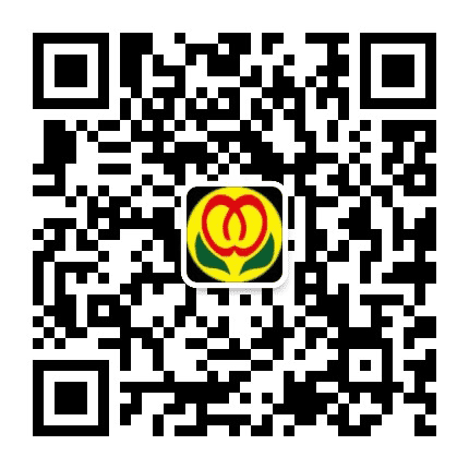 南通市五里树小学公众号二维码