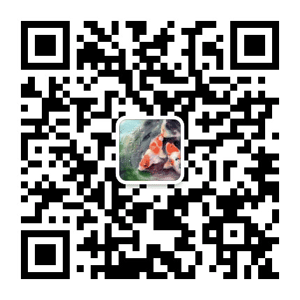 锦鲤鱼池过滤公众号二维码