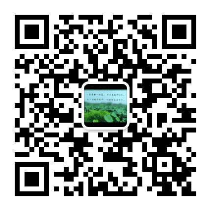 魅力潘村公众号二维码