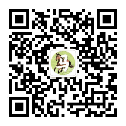 生肖马运势天天看公众号二维码