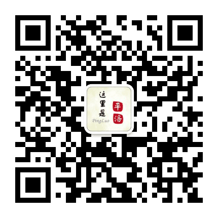 陇南康县平洛镇公众号二维码