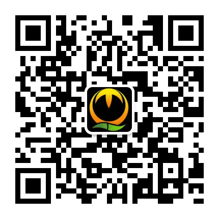 品味突泉公众号二维码