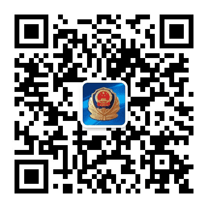 振安公安公众号二维码