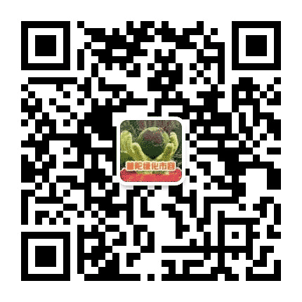 上海普陀绿化市容公众号二维码