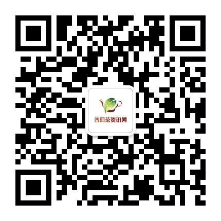 普洱茶圈公众号二维码
