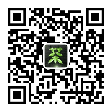 老班章普洱茶公众号二维码