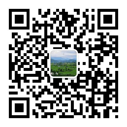 隆阳区蒲缥镇人民政府公众号二维码