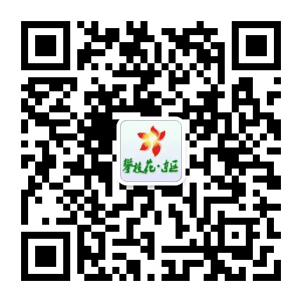 攀枝花市东区人民政府公众号二维码