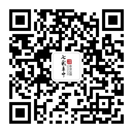 七彩阜宁公众号二维码