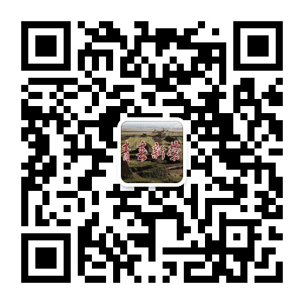 青春新荣公众号二维码