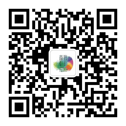 秦淮灯彩公众号二维码